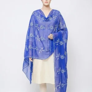 Chiffon Shawl – Floral with Stone Work, Golden Embroidery Ground