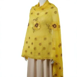 Chiffon Shawl – Floral with Stone Work, Soft Drape