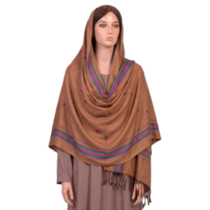 Embroidered Stripe Border Viscose Stole