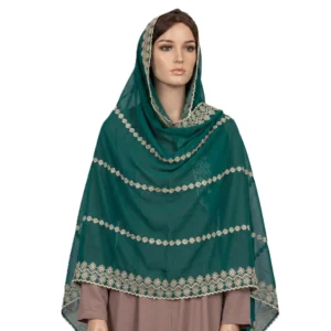 Chiffon Shawl – Vertical Dot with Floral Lace Border